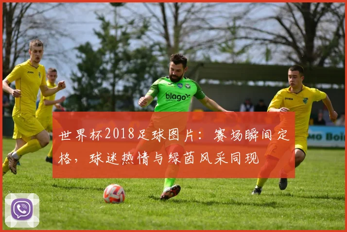 世界杯2018足球图片:赛场瞬间定格,球迷热情与绿茵风采同现